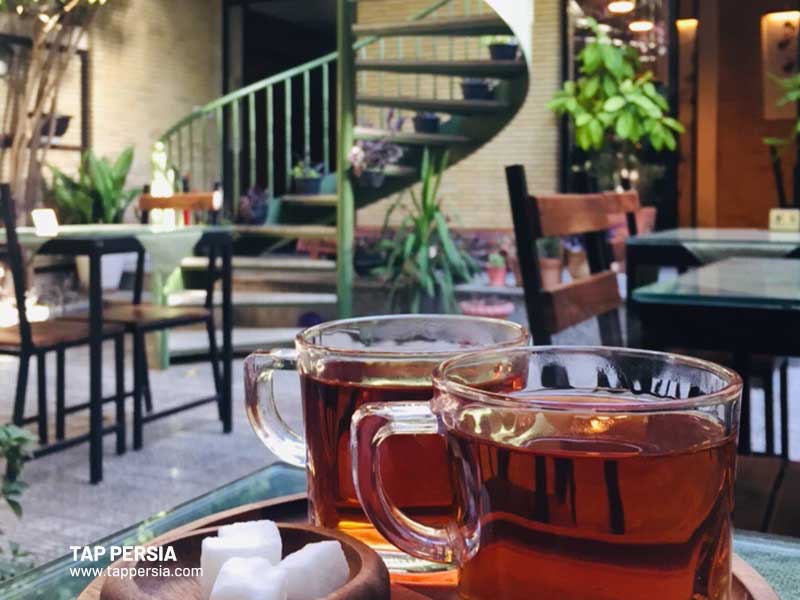 cozy Hostle tehran