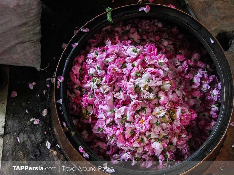 Rose Water – Famous Persian Golab